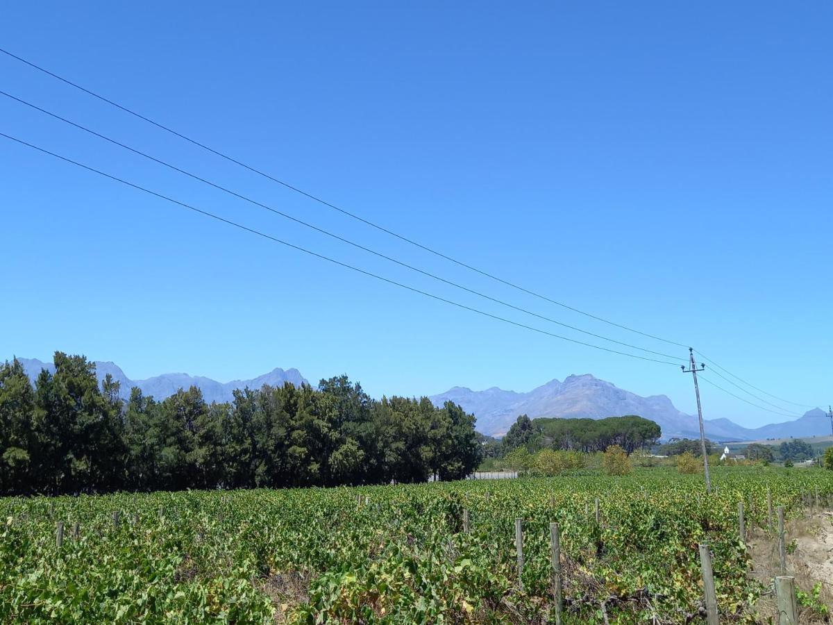 Hotel Rouana Guest Farm à Stellenbosch Extérieur photo