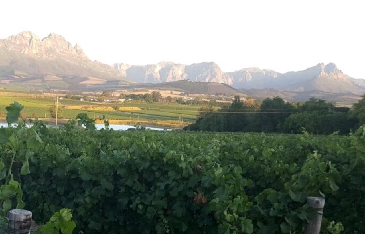 Hotel Rouana Guest Farm à Stellenbosch Extérieur photo