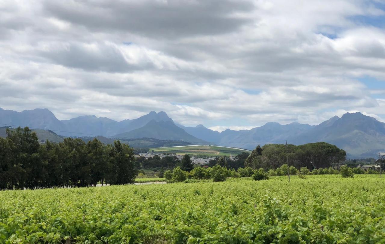 Hotel Rouana Guest Farm à Stellenbosch Extérieur photo